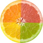 Colourful citrus fruit slice divided into four quadrants with orange, red, yellow, and green segments, ideal for vibrant and fresh-themed designs