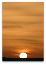 Golden sunset over a serene horizon with soft orange skies, perfect for landscapes, calm, or inspirational themes